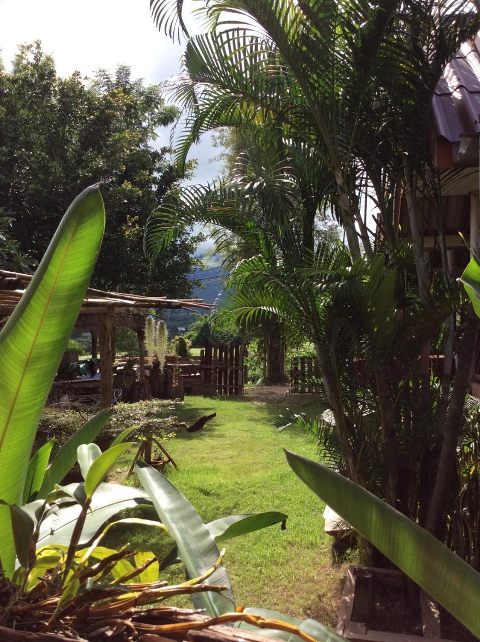 Chilling Hill Guesthouse Pai Extérieur photo